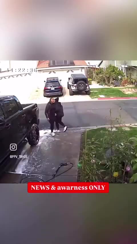 Two California Women Arrested in Connection to Dog-Kicking Incident That Went Viral