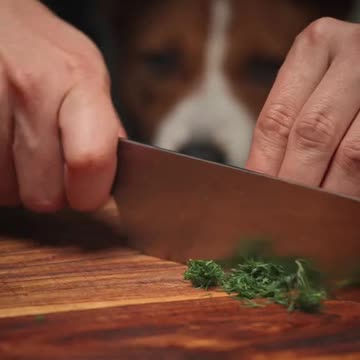 If you’re passionate about creating cinematic , high-quality