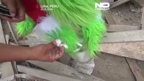 No Comment: Grinch-Polizist verhaftet Drogenhändler in Peru