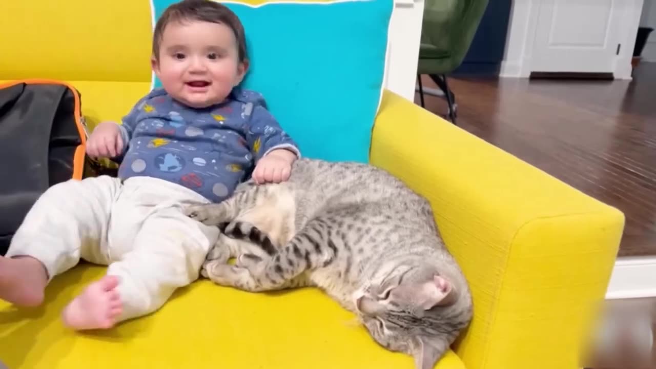 Funny babies and Animals