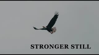 Pray USA, 3/11/25 Stronger Still