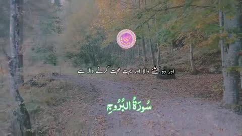 Beshak 💯♥️✨🕊️