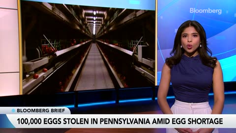 Cops Looking for an Eggs Bandit