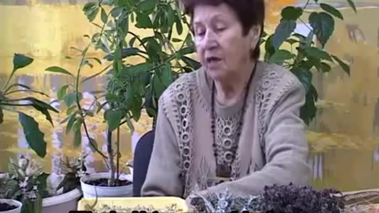 Leczenie ziołami (napisy)