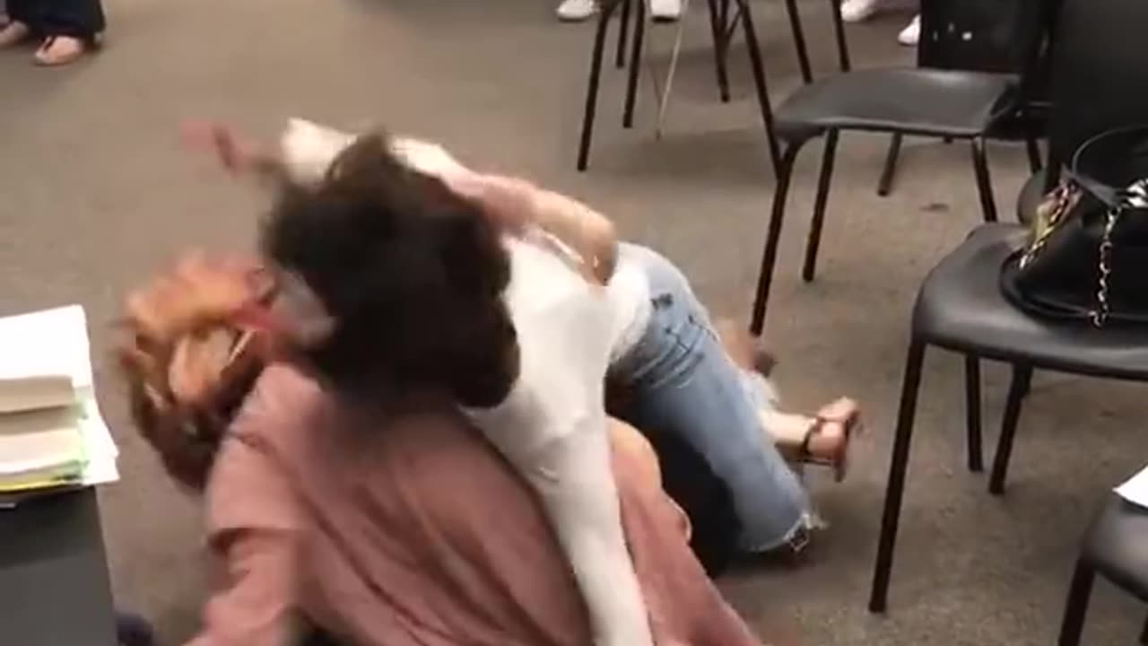 5th period. Fight (Jenerika and litazhya)