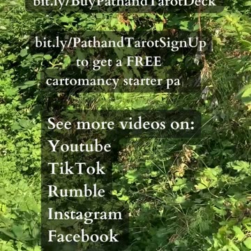 Still To Another Chapter | Path and Tarot Reading