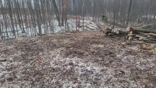 QPod 25-1 New Year, New Timber Harvest #deerwizard Kasey Thren