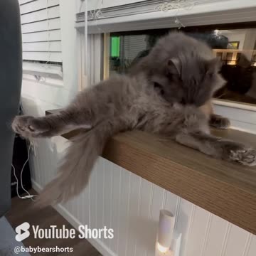 Maybe she was a Gymnast