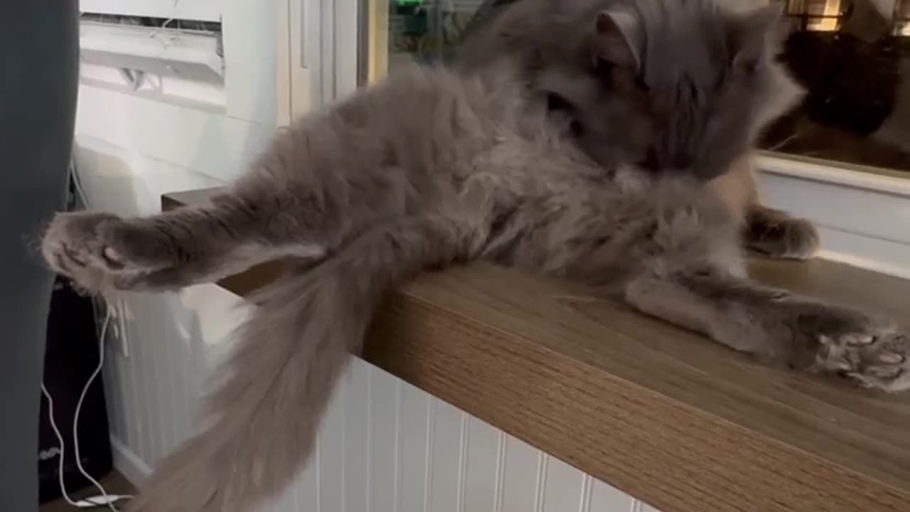 Maybe she was a Gymnast