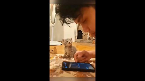 i love u cat so much