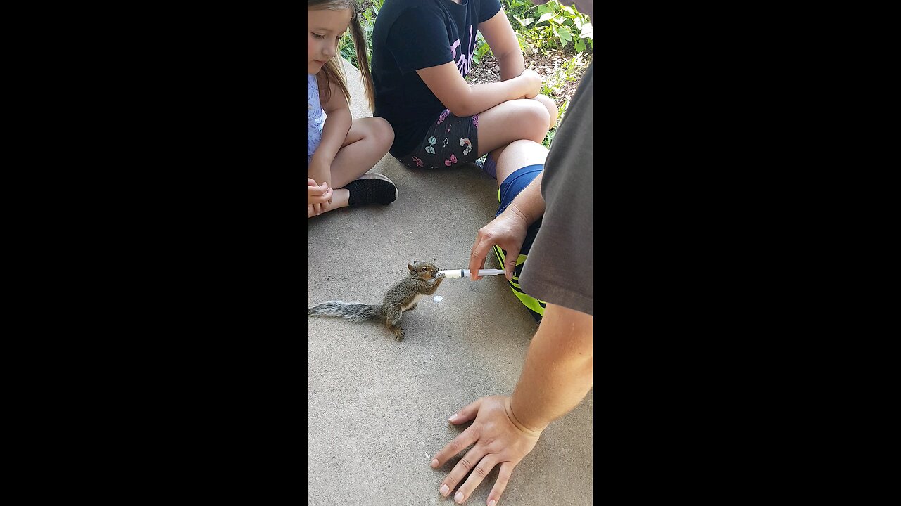 New Squirrel friend.