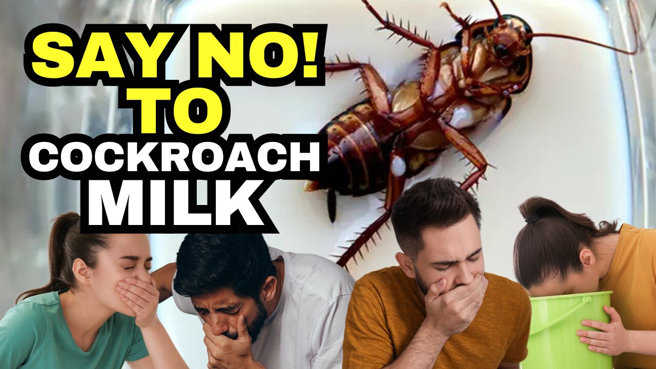 The Most DISGUSTING Superfood Scientists Have Ever Found - COCKROACH MILK