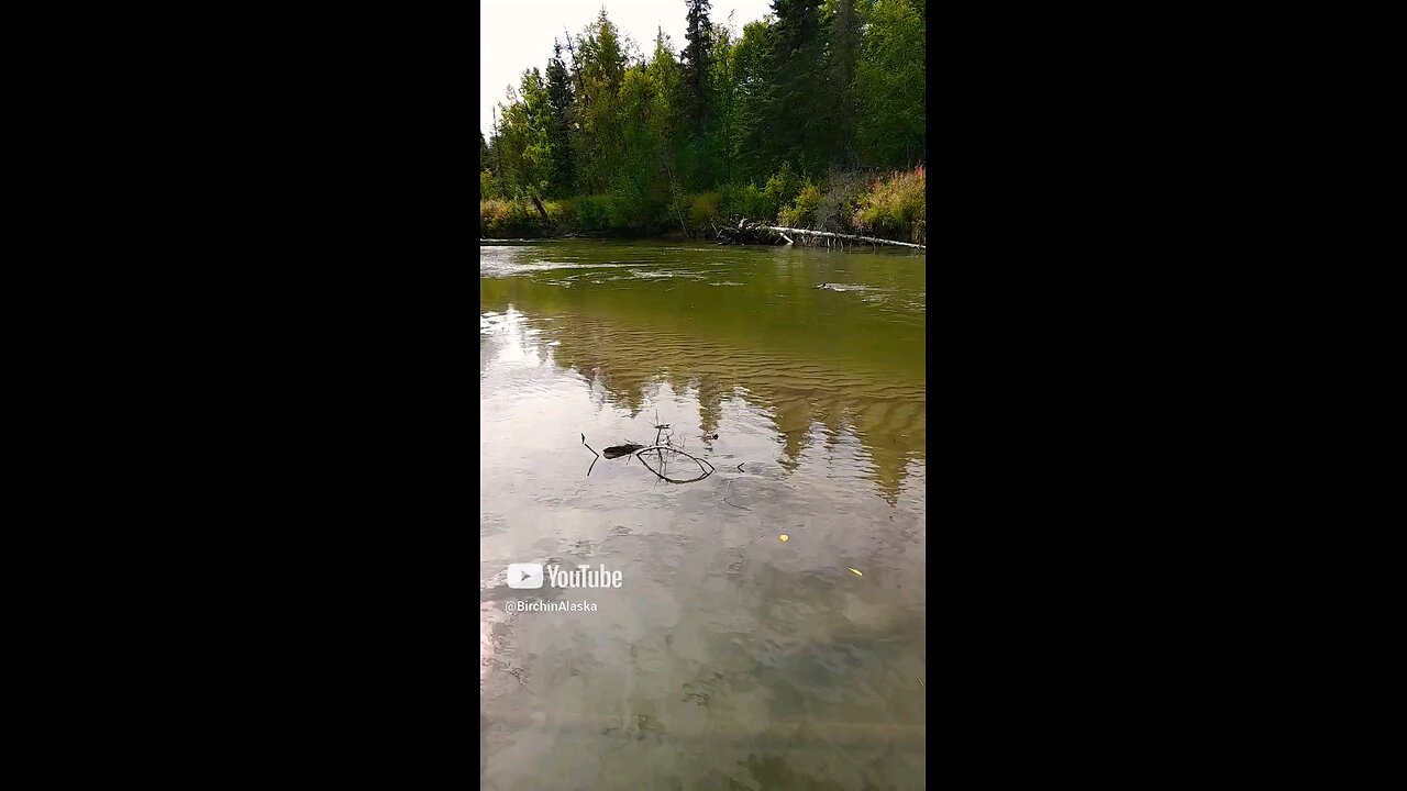 Little Susitna River