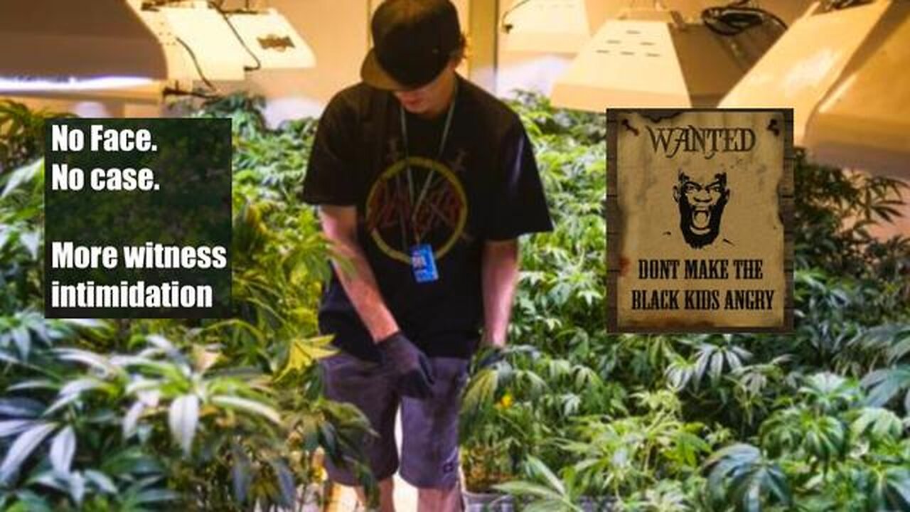 Colin Flaherty: Pot Farms Easy Targets for the Fellas & No Face No Case