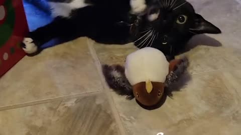 Christmas 2023 Jack loves the bird