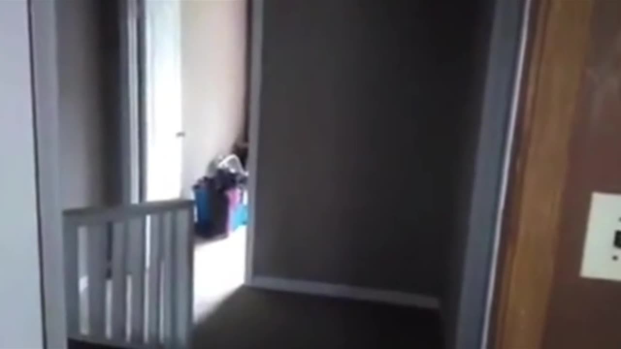 Paranormal Activity #36