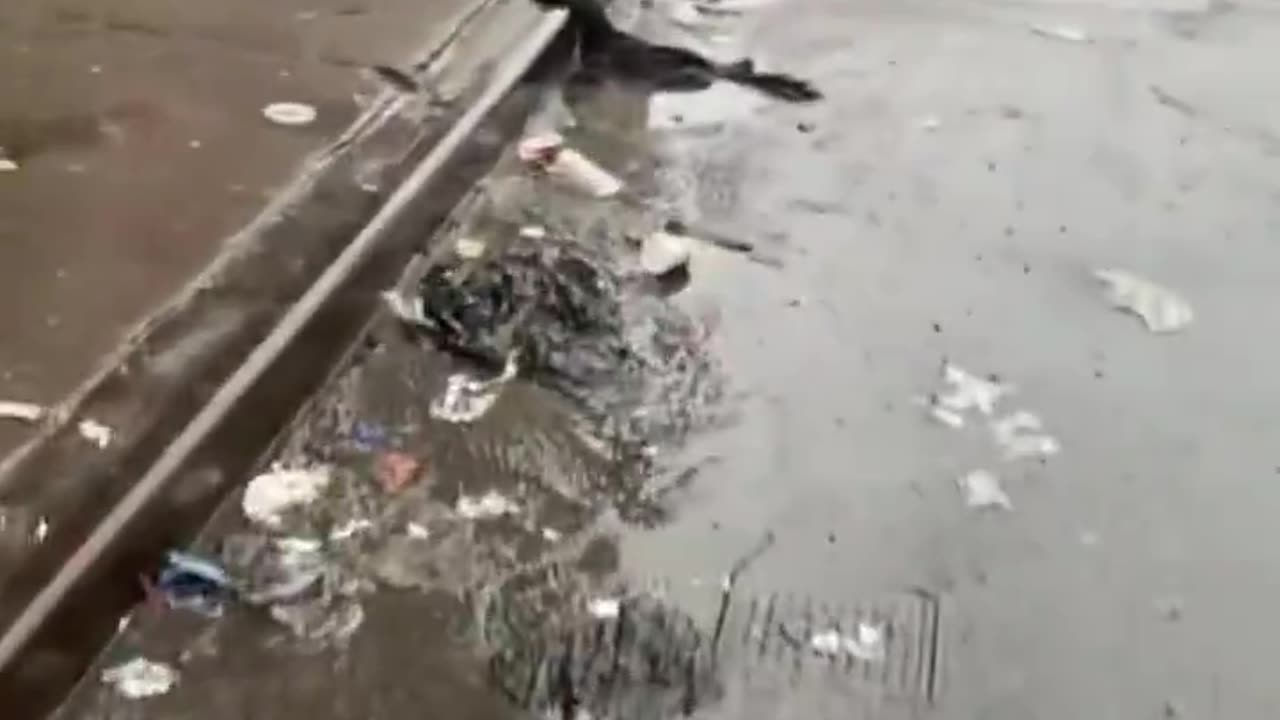 This is what the streets of the richest city in the world look like.