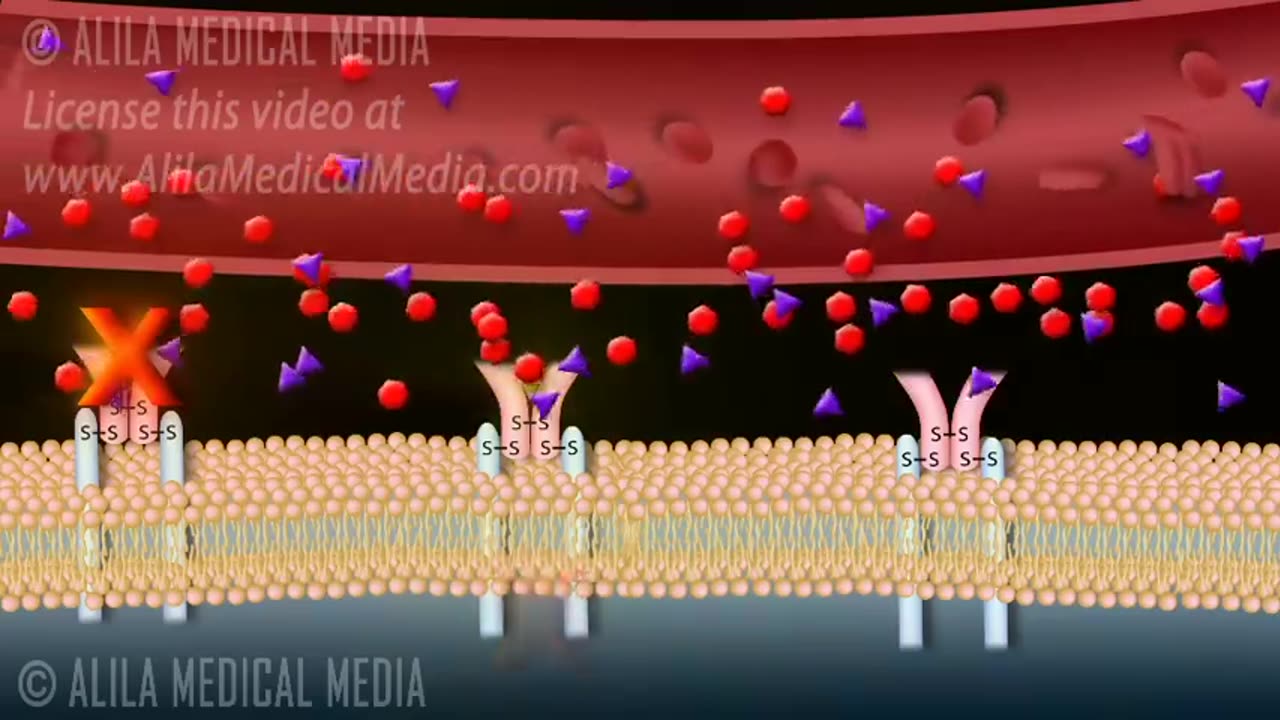 Diabetes Type 1 and Type 2, Animation