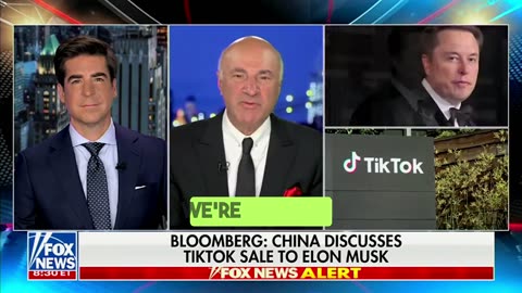 Kevin O’Leary Brings Elon Musk Buying TikTok Rumors Down to Reality