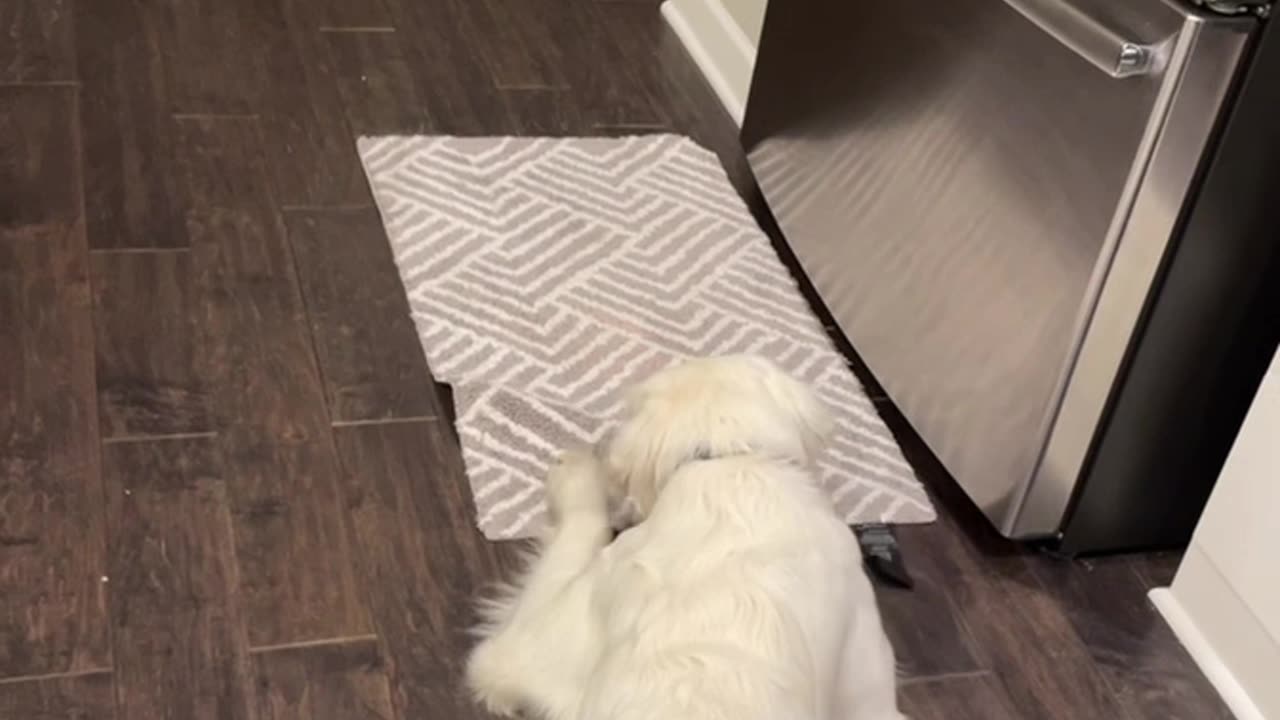 Can you play?