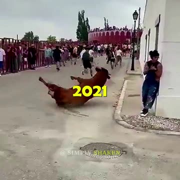 2025 Bull Run incoming !!