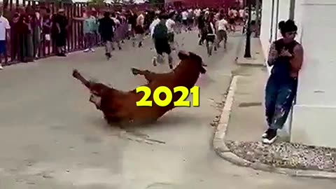 2025 Bull Run incoming !!