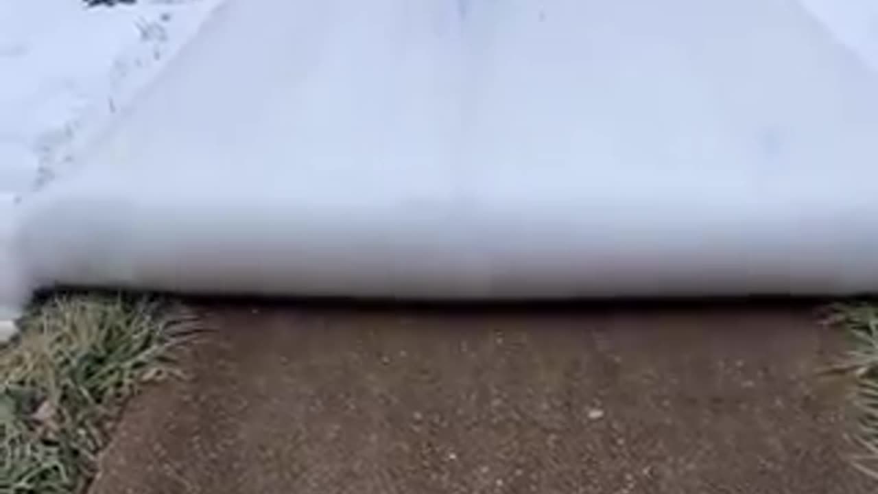 Snow Gone