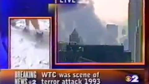 911 Reporter Carol Marin - Fireball