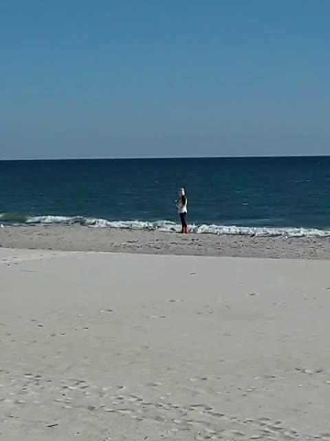 Yes, Seagulls love Donuts