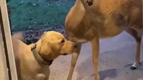 “Can we keep him, mommy?” 😂