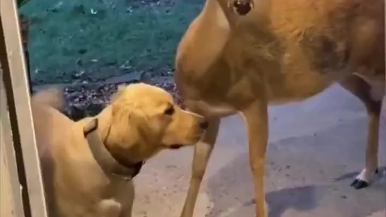 “Can we keep him, mommy?” 😂