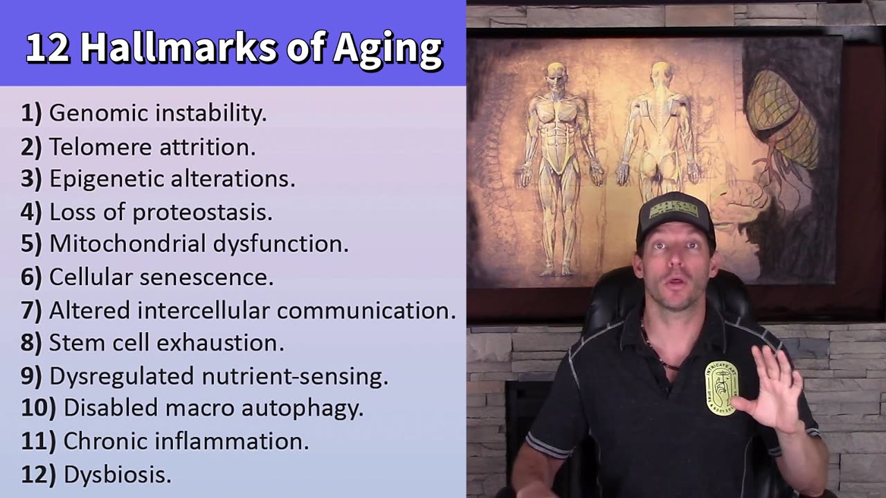 Nutrition, Supplementation, & Epigenetics: How to Improve your Health (part 1)