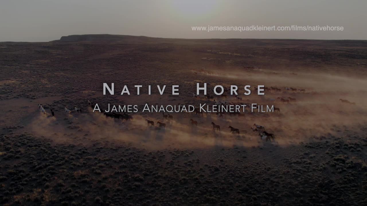 Native Horse - Trailer