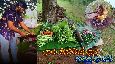 Outdoor BBQ Cooking in Nature | Authentic Wilderness Grilling & Sri Lankan Village Food