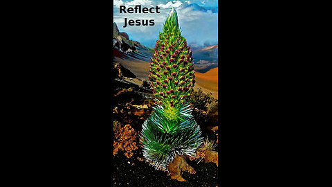 Gabriella 🎿 317 ~ Reflect Jesus