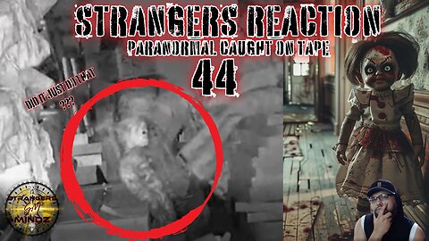 STRANGERS REACTION. Paranormal Caught On Tape. Paranormal Investigator Reacts. Episode 44