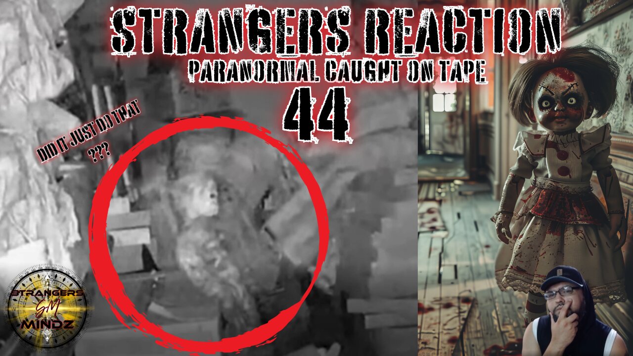 STRANGERS REACTION. Paranormal Caught On Tape. Paranormal Investigator Reacts. Episode 44