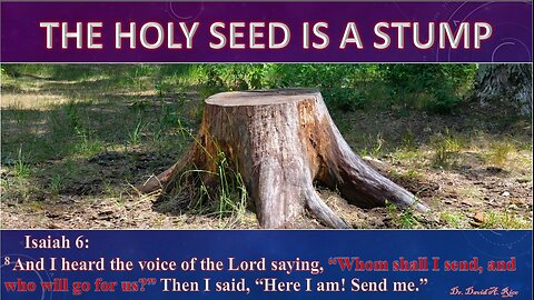 THE HOLY SEED IS A STUMP