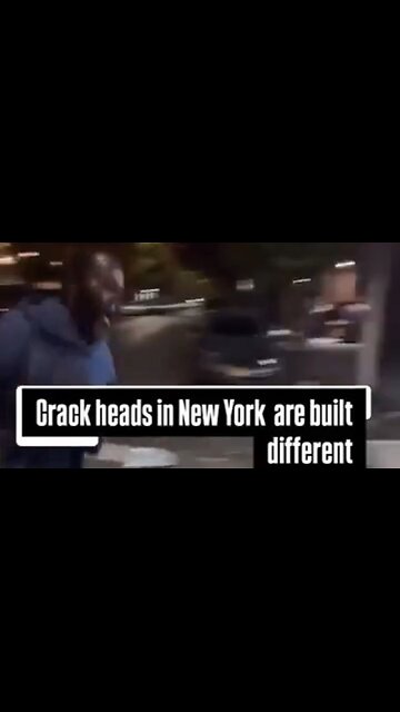 Crackhead Being Chased By Another Guy Gets Hit By Car And Loses His Pants