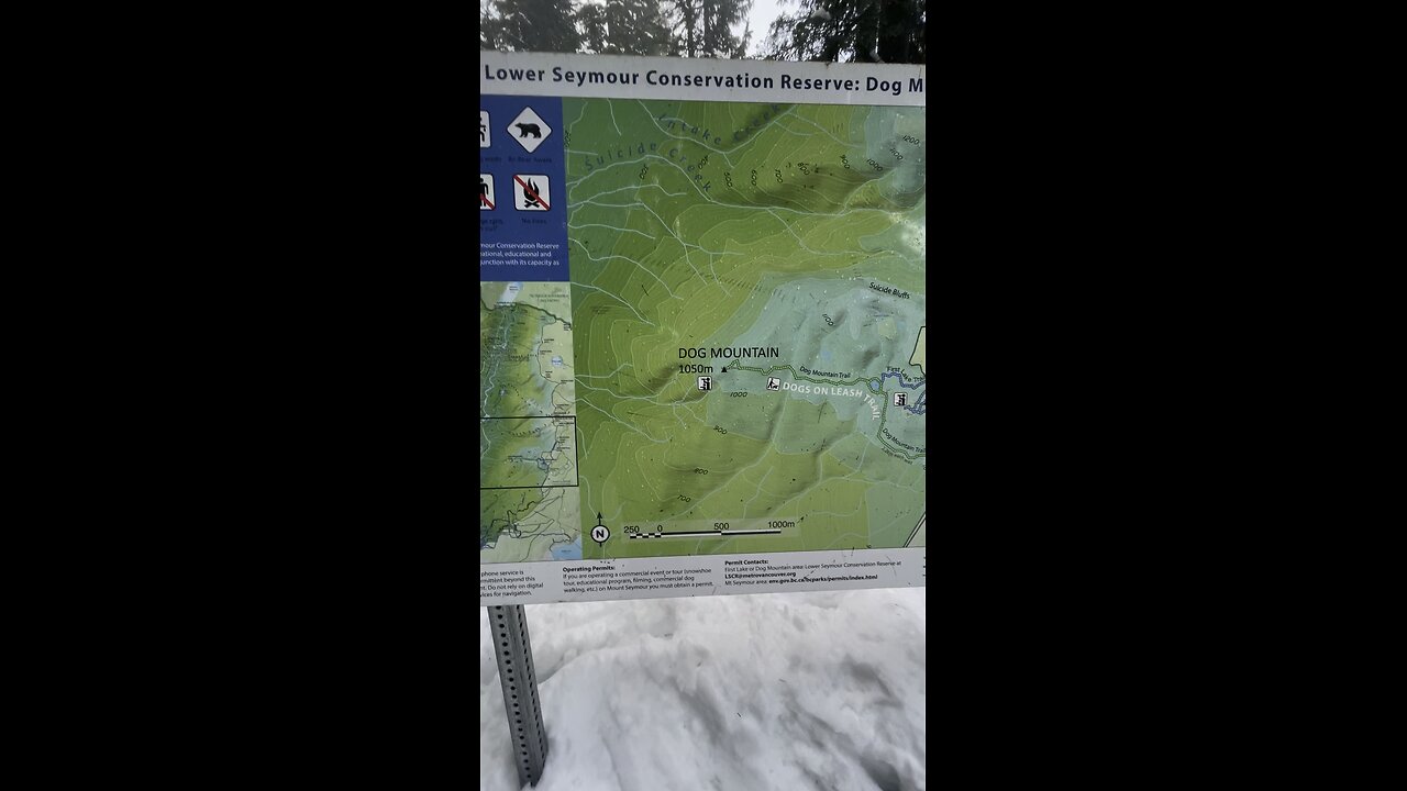 Mt Seymour National Park , BC Canada