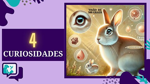 🐰O Que Pouca Gente Sabe Sobre Coelhos - Descubra 4 Curiosidades!