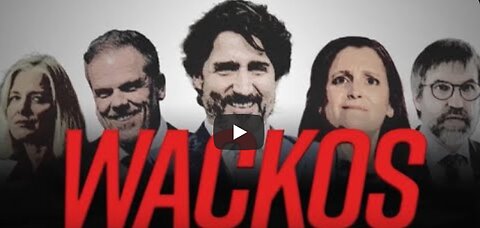 💥🔥💥 WACKOS: the weird, wild, woke & wonderful world of the people running our country