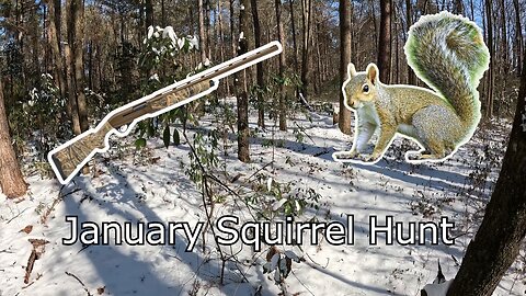 Snowy January Squirrel Hunt