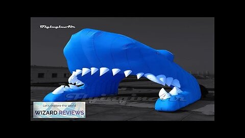 Outdoor Inflatable Shark Tunnel Cartoon Sea Animal Model Blue Blow Up Shark Review