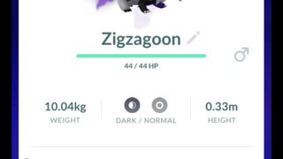 Pokémon GO-Purifying Shadow Galarian Zigzagoon