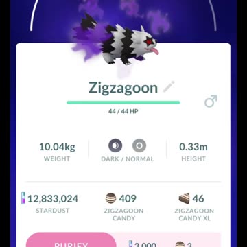 Pokémon GO-Purifying Shadow Galarian Zigzagoon