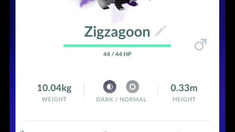 Pokémon GO-Purifying Shadow Galarian Zigzagoon