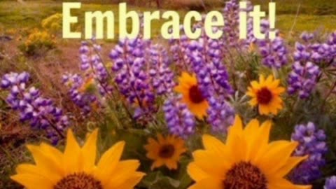 EMBRACE EACH DAY 🌺🌺🌺🌴🐬