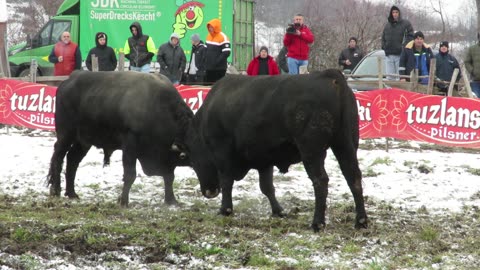 Ljuban od Kovačevića vs Garonja od Idrizovića Banovići 2025