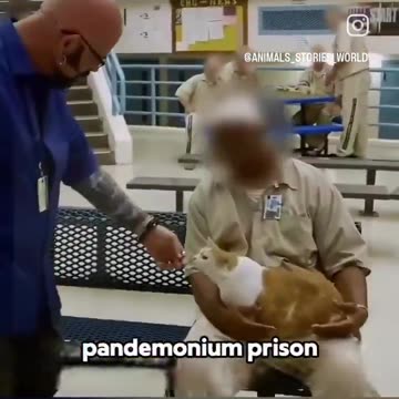 How 200 Kittens and Prisoners Gave Each Other a Second Chance